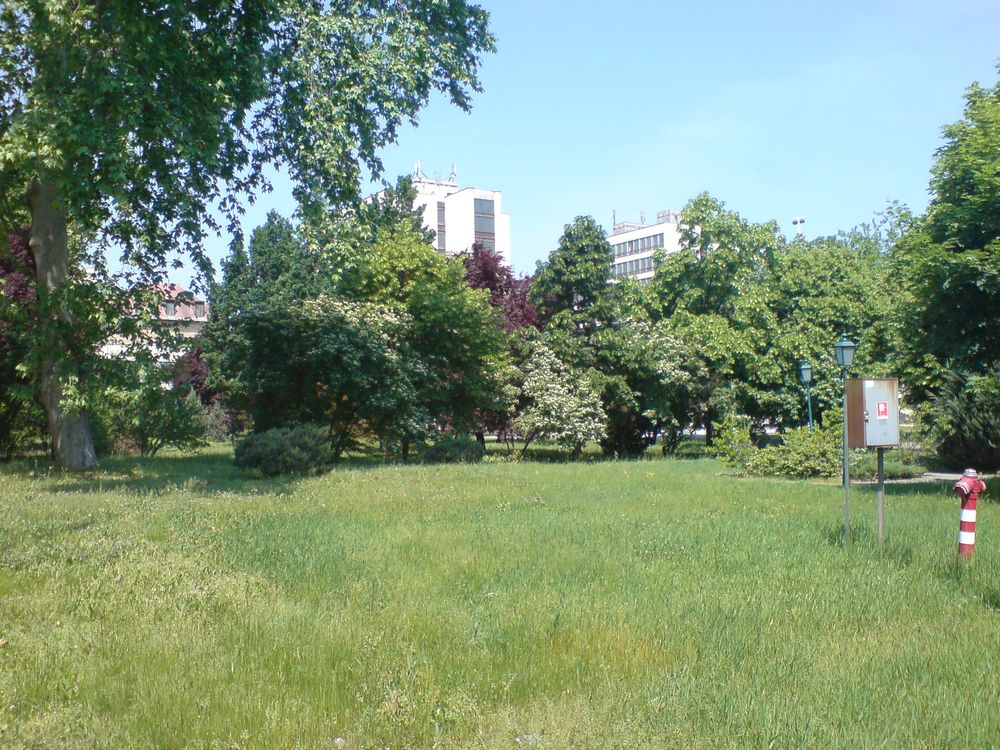 Zöldterület